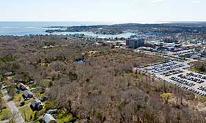 Bayview Bog Photograph