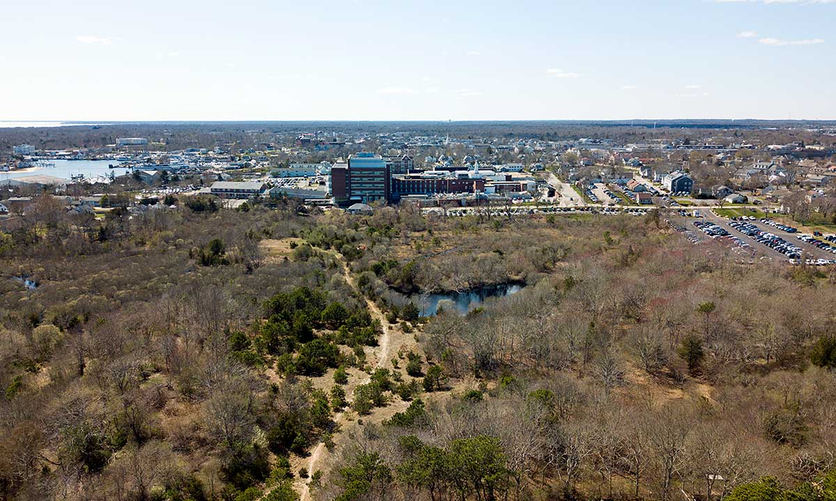 Bayview Bog Drone Photo