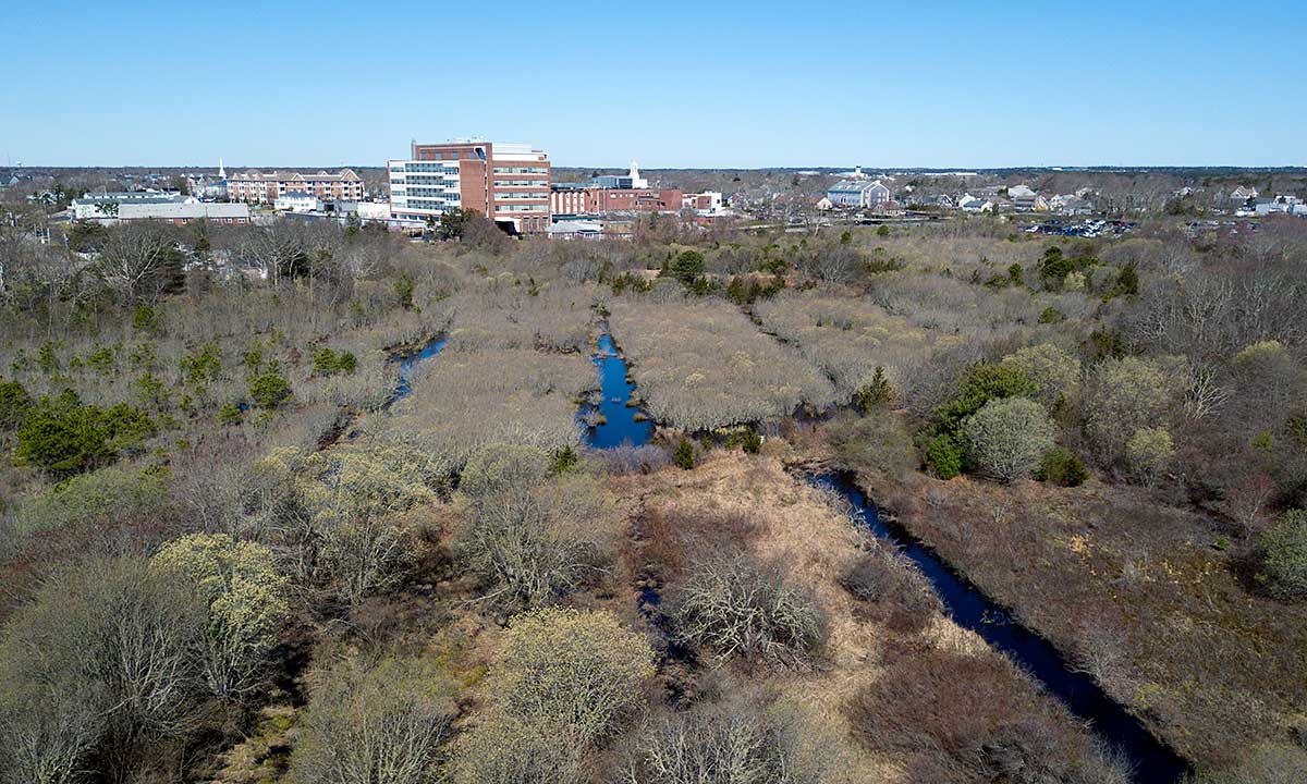 Bayview Bog Drone Photo