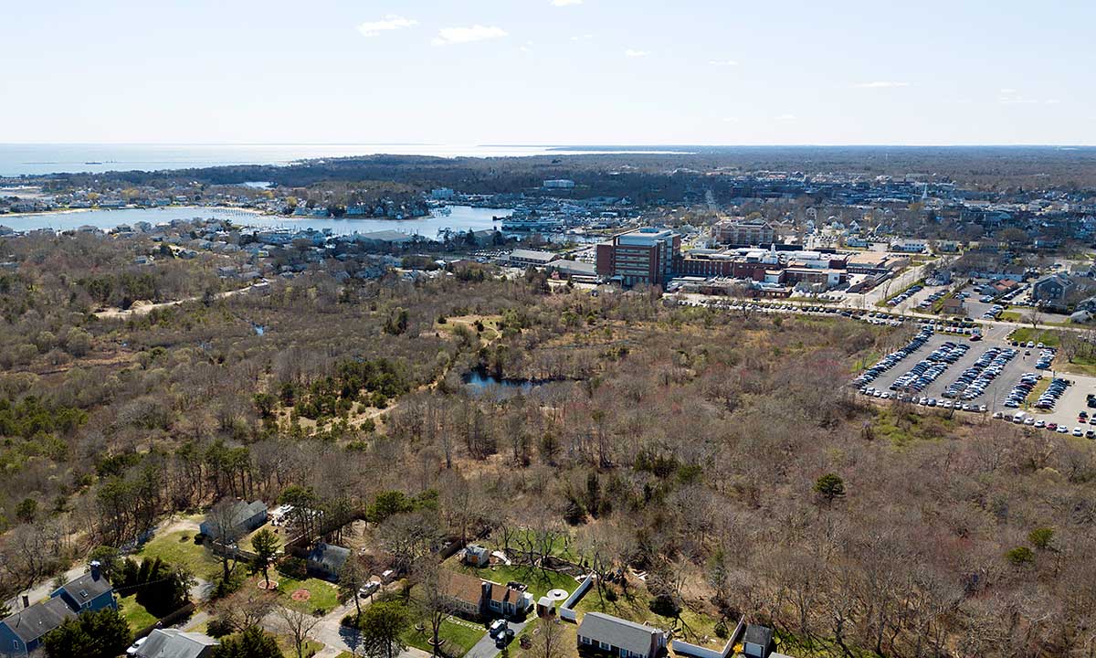 Bayview Bog Drone Photo