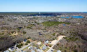 Bayview Bog Photograph