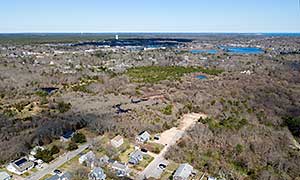 Bayview Bog Photograph