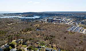 Bayview Bog Photograph