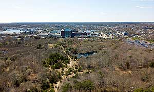 Bayview Bog Photograph