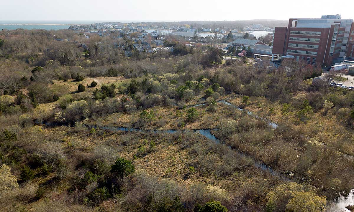 Bayview Bog Drone Photo