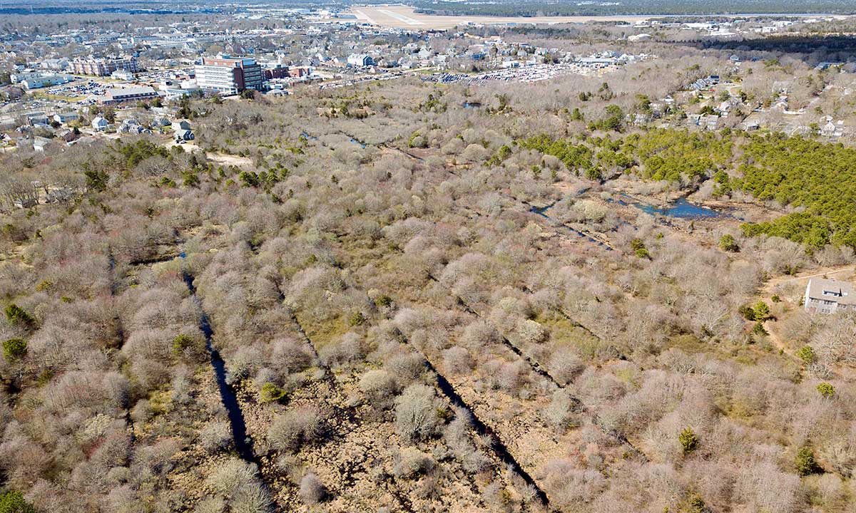 Bayview Bog Drone Photo