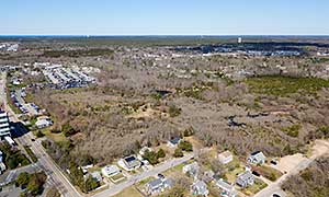 Bayview Bog Photograph