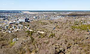 Bayview Bog Photograph