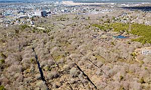 Bayview Bog Photograph