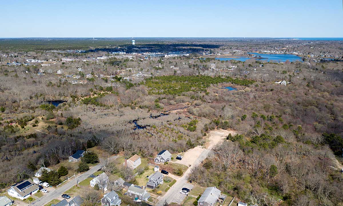 Bayview Bog Drone Photo