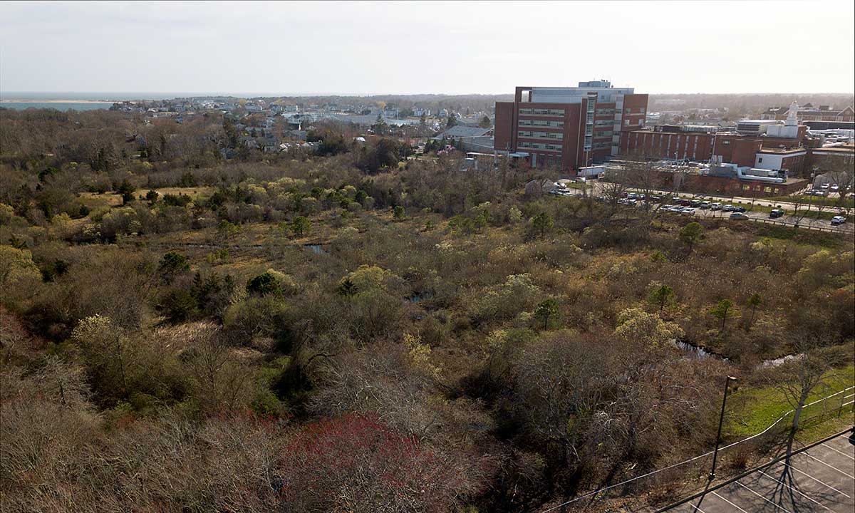 Bayview Bog Drone Photo